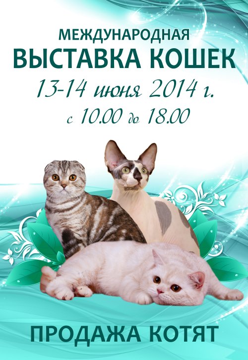 Международная выставка кошек 13 и 14 июня 2014 г. в Саратове
