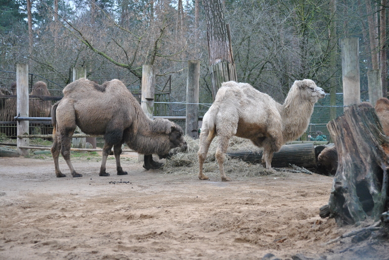 Новый 2014 Год в Латвии (Рига, Юрмала)