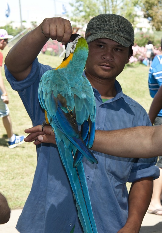 Утопия,парк орхидей в кибуце Бахан.
