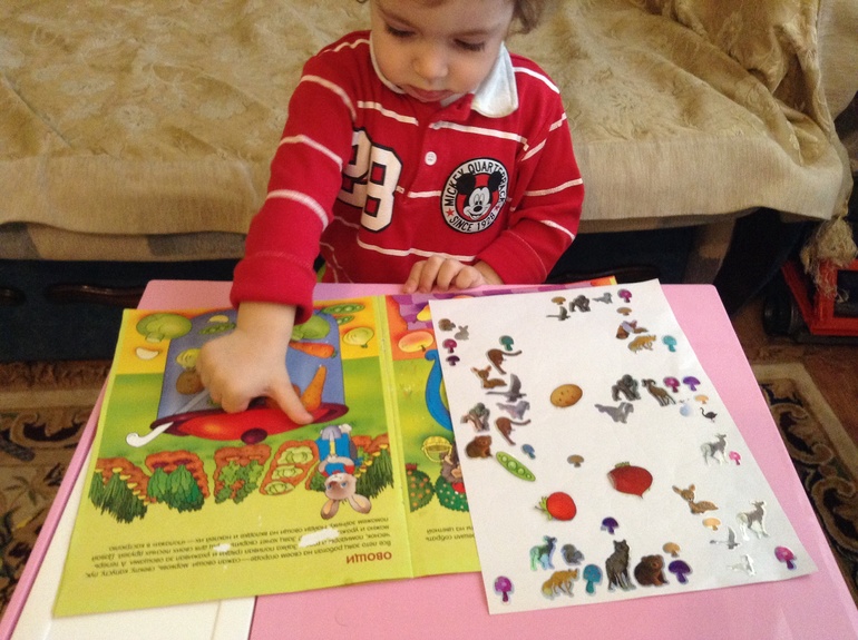 Овощи. Фрукты. Ягоды.