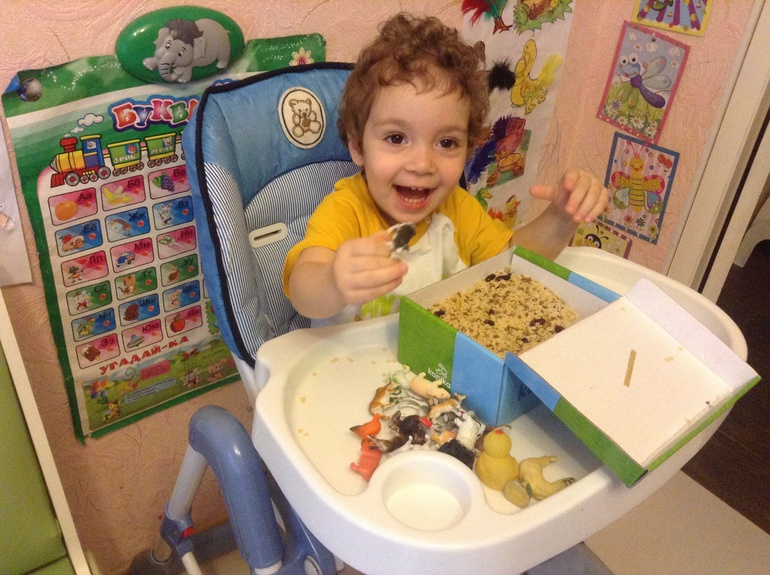 Домашние животные