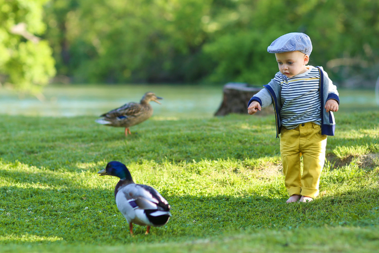 Детский и семейный фотограф