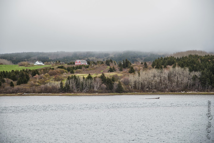 С ветерком по Nova Scotia