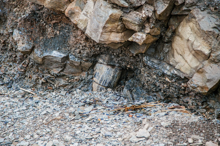 С ветерком по Nova Scotia