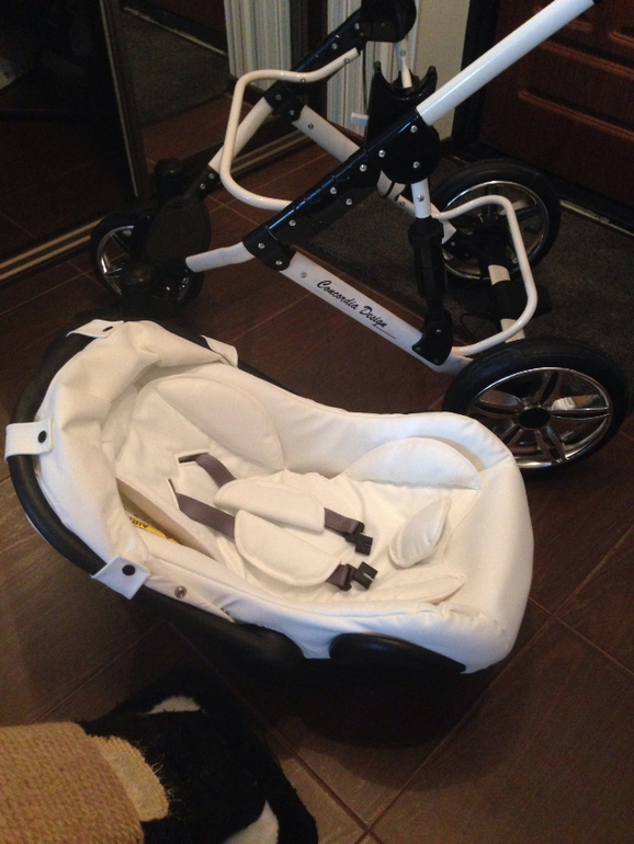 Коляска concordia design glamour кожа