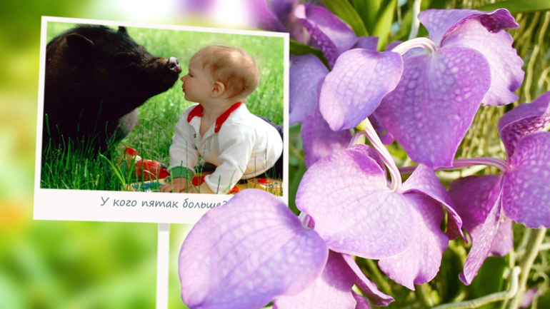 Видеоальбом - незабываемые подарок своим близким.