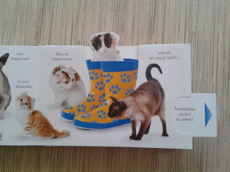 Вот и наши обновочки приехали