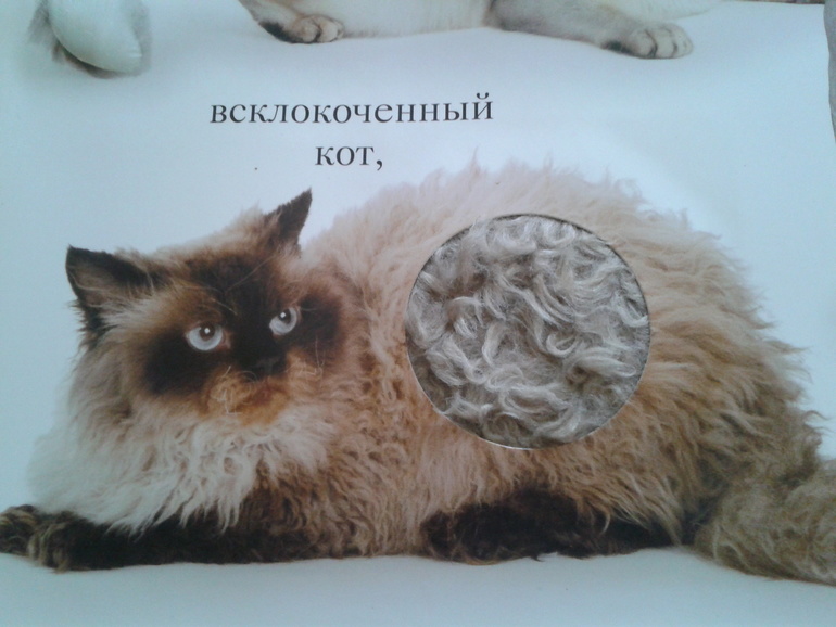 Вот и наши обновочки приехали