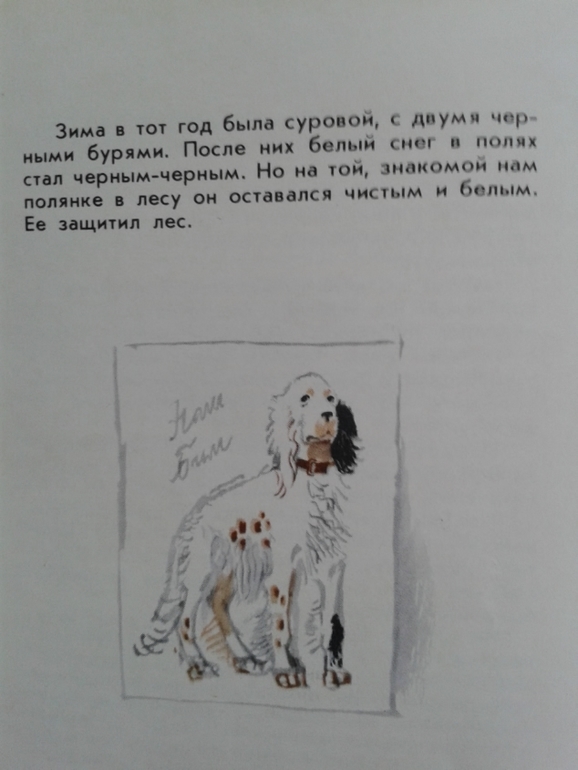 Белый бим черное сколько страниц. Белый Бим черное ухо отрывок. Белый Бим черное ухо с иллюстрациями Слепкова. Как нарисовать белый Бим черное ухо. Щенок Бима белый Бим чёрное ухо раскраска.