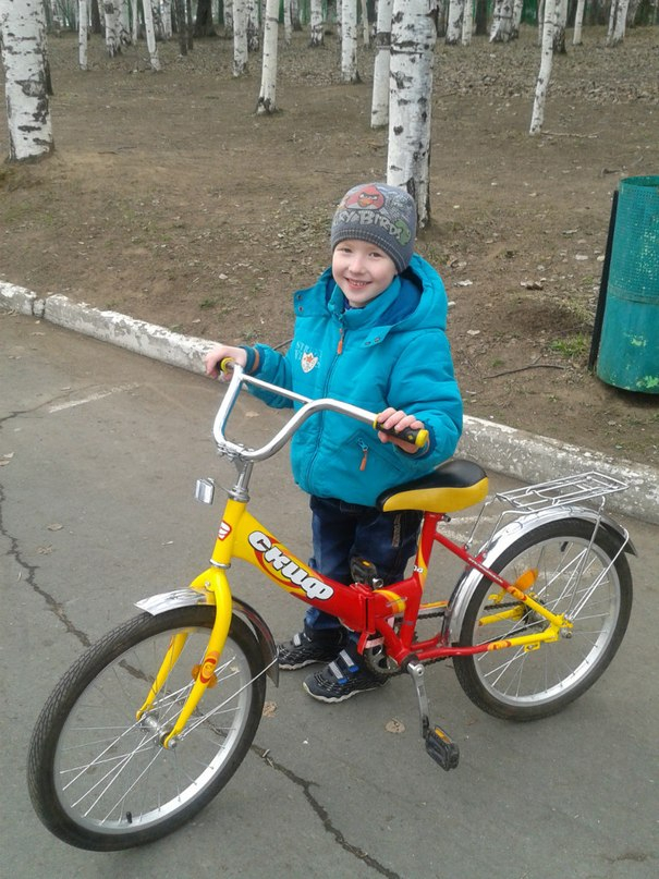 Картинка