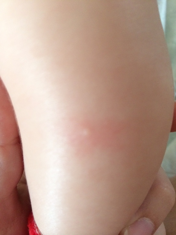 Подскажите, что это?