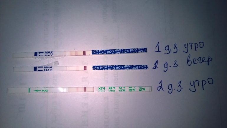 Доброе утро всем! Даже не знаю...