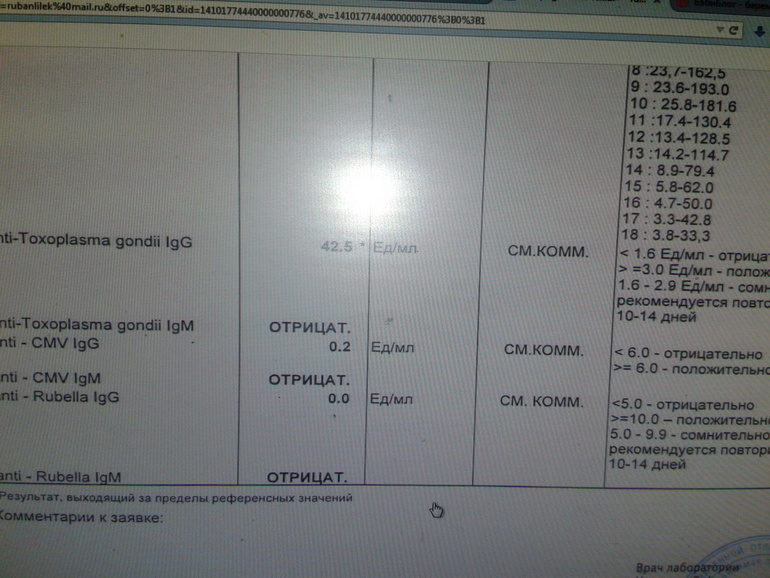 Антитела к toxoplasma gondii igg. Toxoplasma gondii IGG И IGM что это. Антитела к токсоплазма гондии IGG. Токсоплазма гондии антитела IGG норма. АТ К токсоплазме IGG Anti- Toxoplasma gondii IGG.