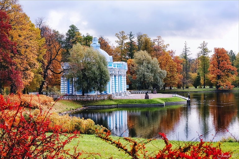 Фото Царского Села Осенью