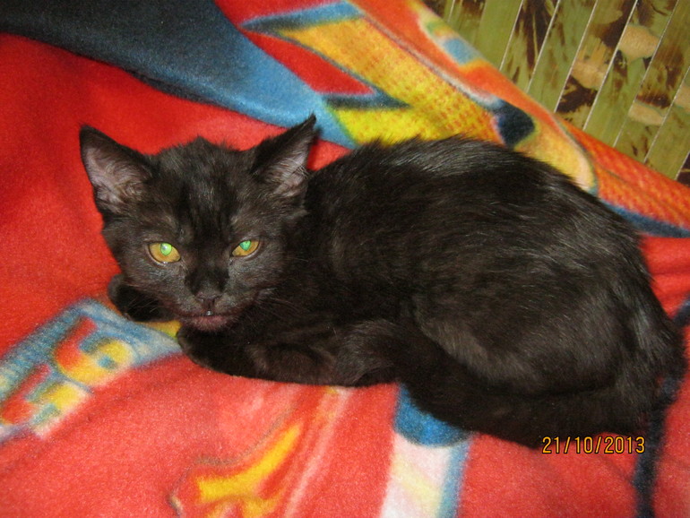 Вот мой дом родной (с) :) и фоооотки