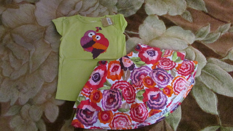 Новая одежда для девочки Gymboree,Crezy8 .Недорого.