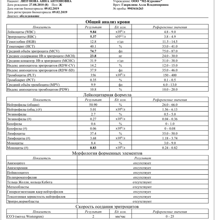 Карта аллергологического обследования расшифровка