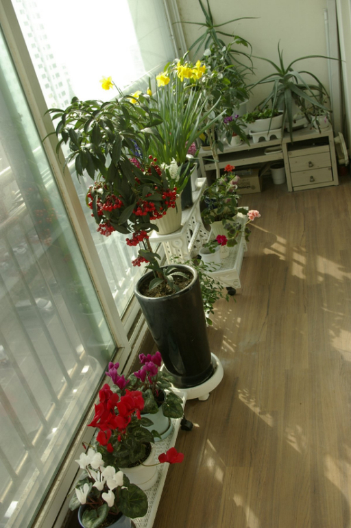 Весна. Начало)