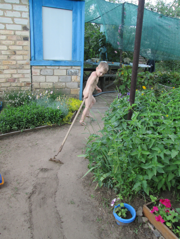 Дачное