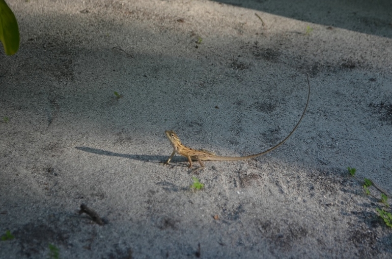 Хороший отель, очаровательное море и скучное питание!