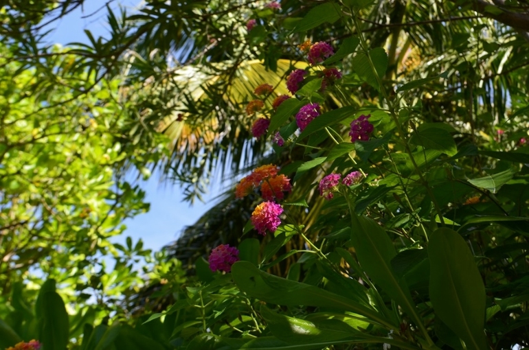 Хороший отель, очаровательное море и скучное питание!