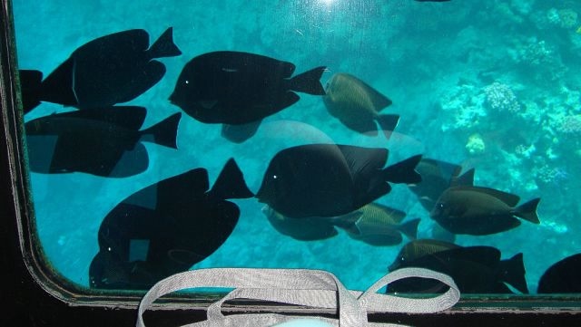 Laguna Vista Beach Resort 5* 16-28 февраля 2014