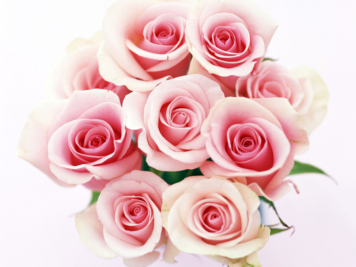 38a7cb28213eb2a3d0a0bcbefd240fa7.jpg