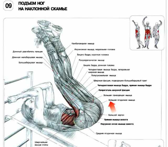 Третий день - день спины:)