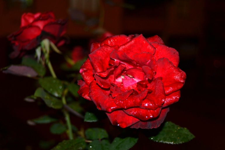 f2497c62b03258b7549e9a8548db0a61.jpg