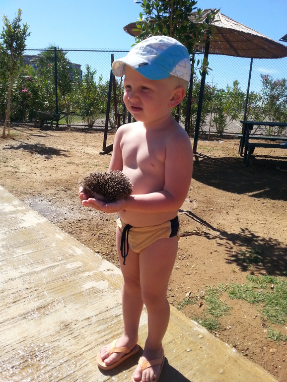 Турляндия 23.05-03.06.2014