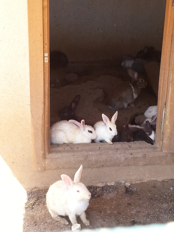 Турляндия 23.05-03.06.2014