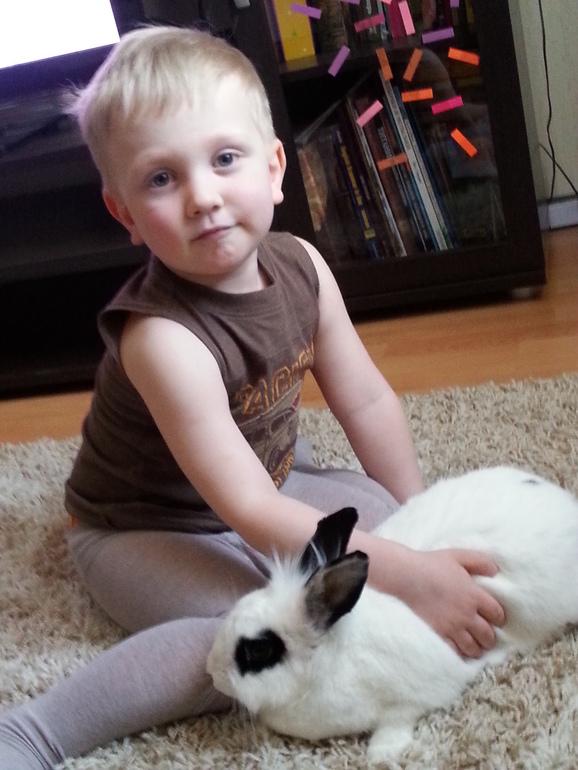 Наша мини кошка