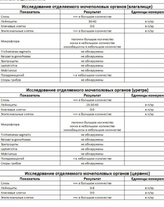 Лейкоциты в мазке на цитологию