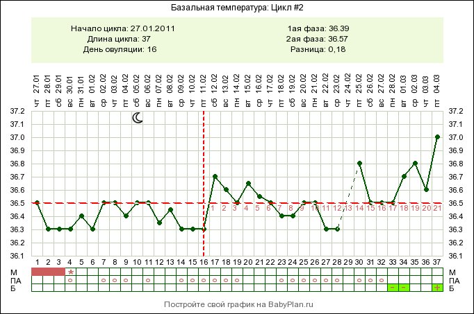 Температура во втором цикле. Беременный график БТ С поздней овуляцией. График БТ при беременности двойней. График базальной температуры 36,7 при беременности. График базальной температуры при беременности 36.8.