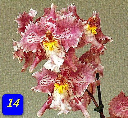 7fda453cf11ec9afb7892c42aefdefd3.jpg