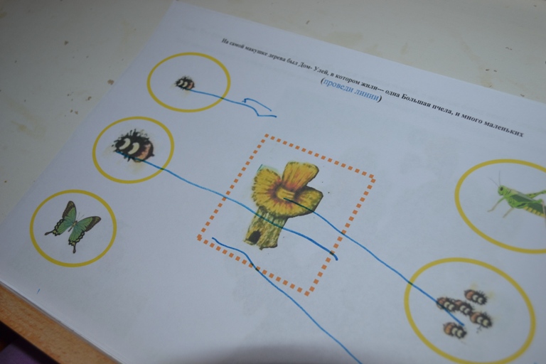 Ларец сказок. Винни-Пух.