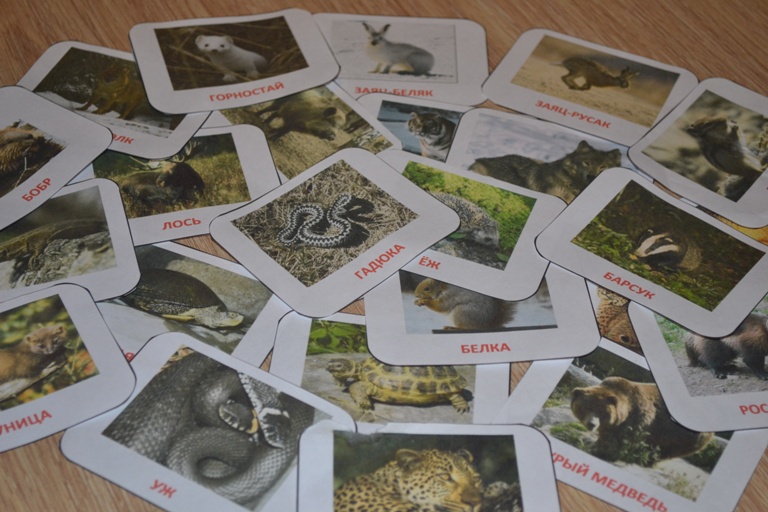 Тематическая неделя