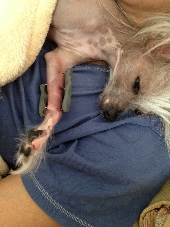 Сняли спицы)))