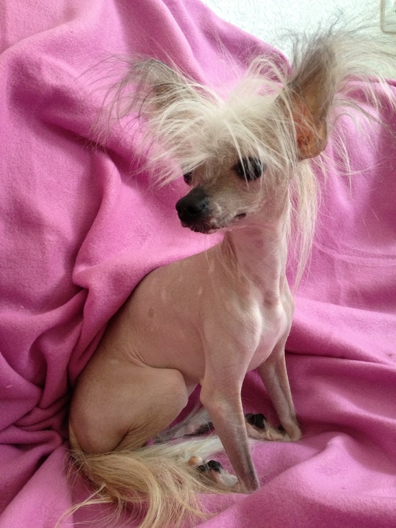 Сняли спицы)))