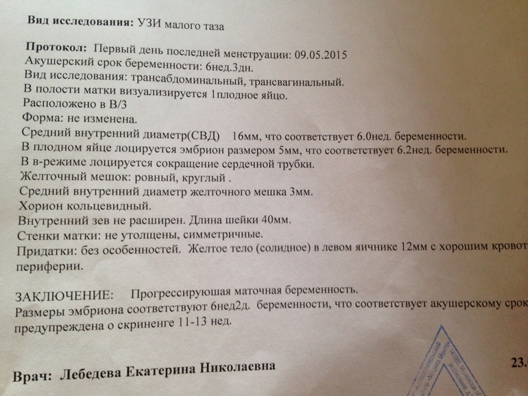 Может ли гинеколог определить. УЗИ при беременности на ранних сроках протокол. УЗИ малого таза у беременных на ранних сроках. УЗИ малого таза у женщин беременность на ранних сроках. Ультразвуковое исследование при беременности раннего срока.