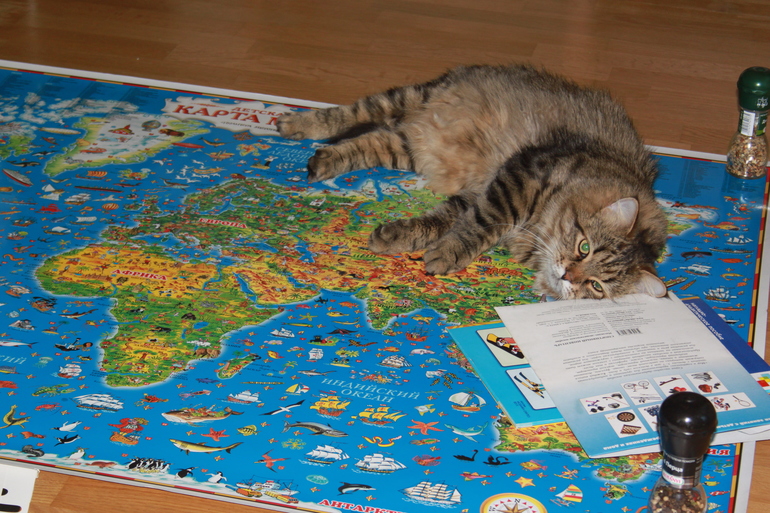 Олимпийские дни. Занятие №3. Мяч.