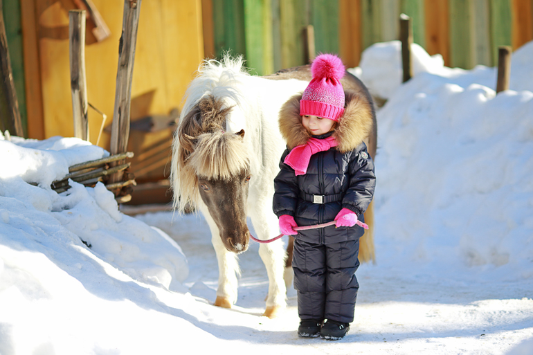 Winter 2012-2013 ) By Olechka )