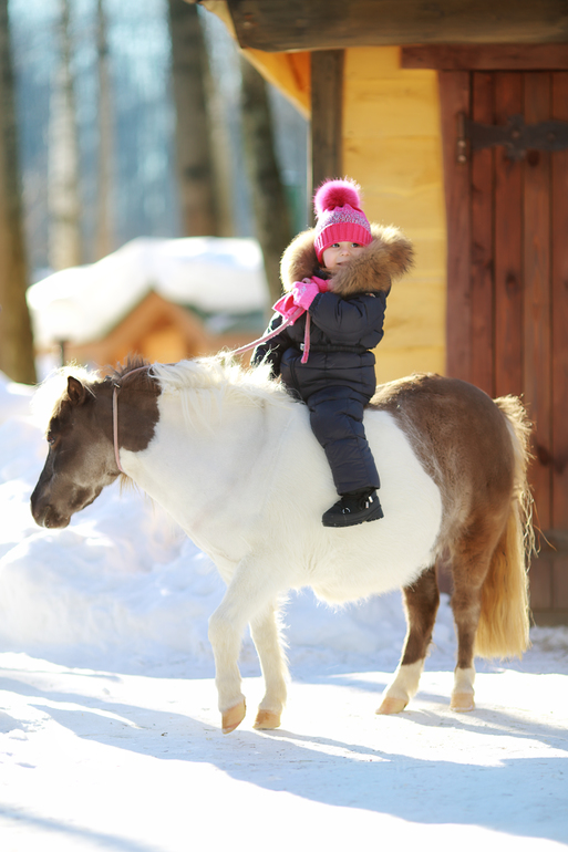 Winter 2012-2013 ) By Olechka )