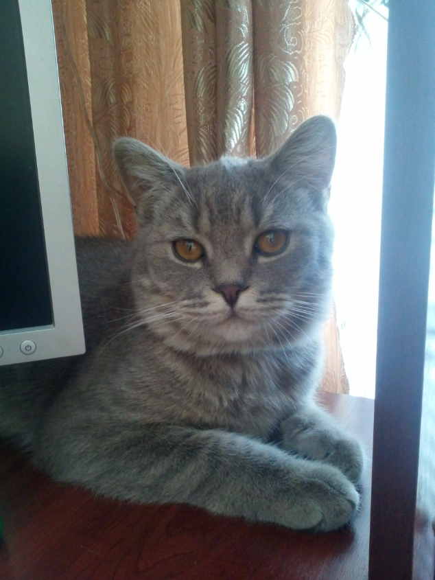 Картинка