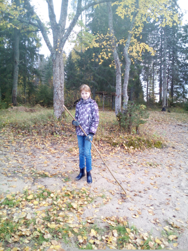 Картинка