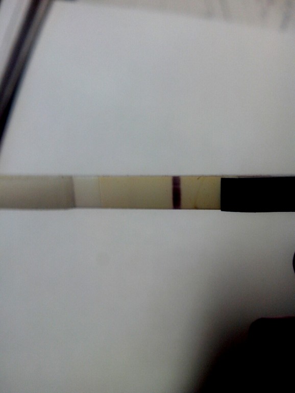 Тест с призраком......