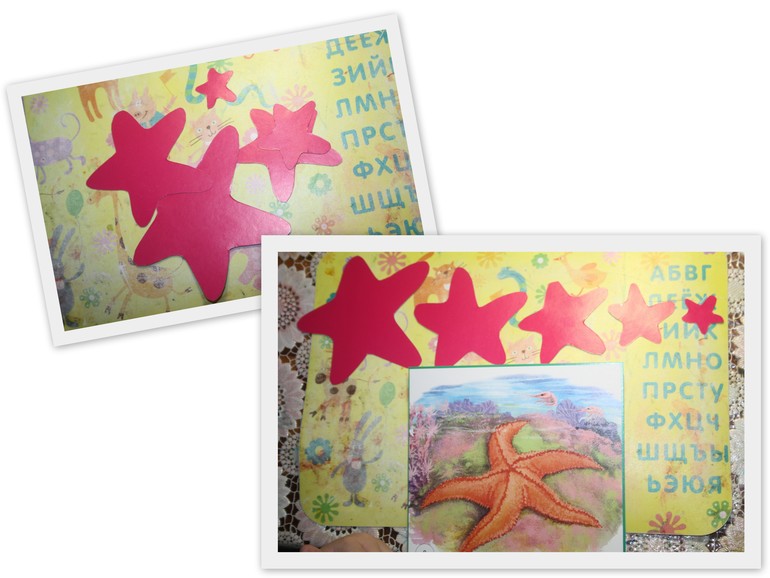 Обитатели морей и океанов.  День 1.