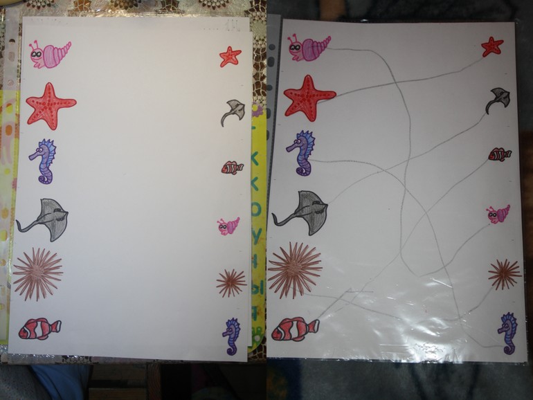 Обитатели морей и океанов.  День 1.