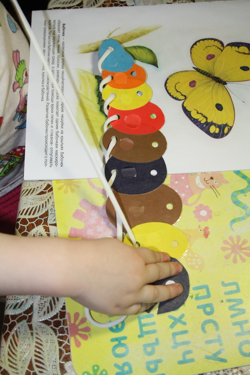 Насекомые. День 1.