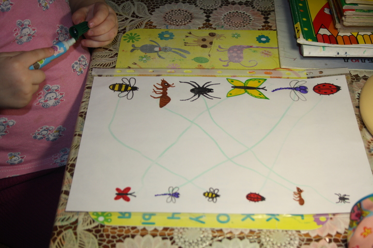 Насекомые. День 2.